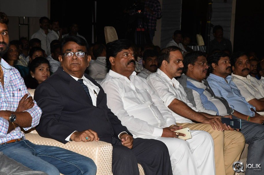 Nee-Jatha-Leka-Movie-Audio-Launch-Gallery